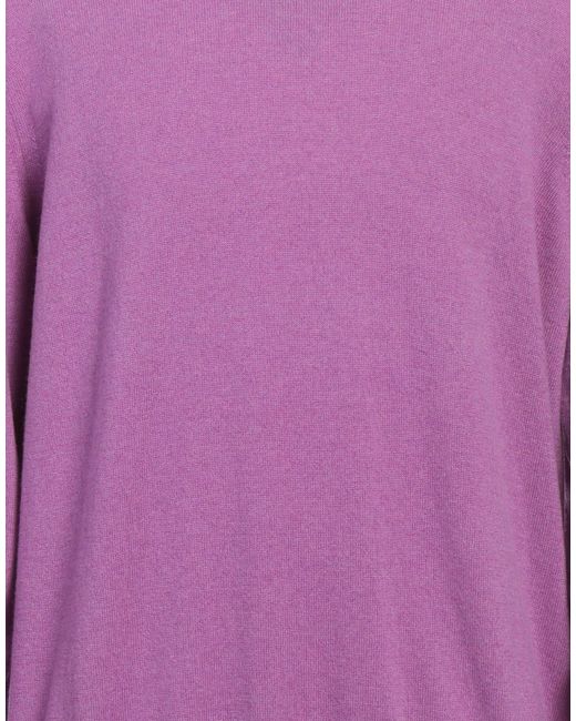 Sonrisa Purple Jumper for men