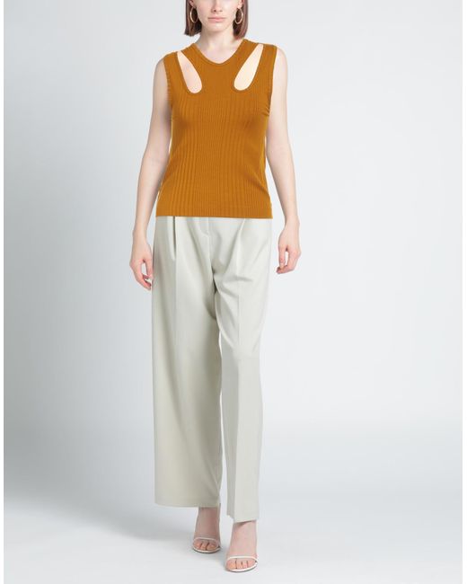 Pinko Brown Top
