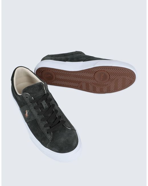 Polo Ralph Lauren Black Sneakers for men