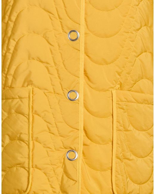 Dixie Yellow Jackets