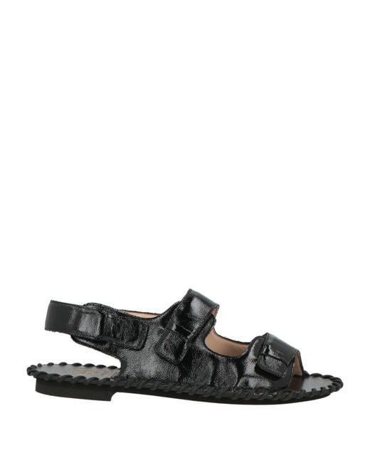 Alexander Hotto Black Sandals