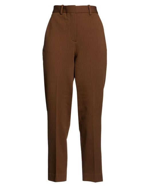 Circolo 1901 Brown Pants Cotton, Elastane
