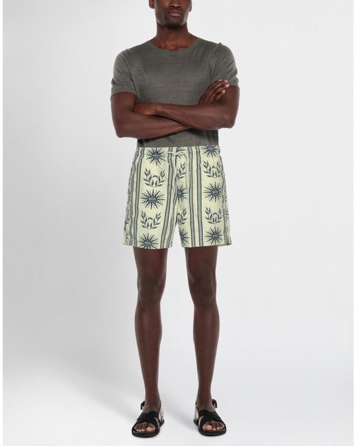 Dickies Green Light Shorts & Bermuda Shorts Cotton for men