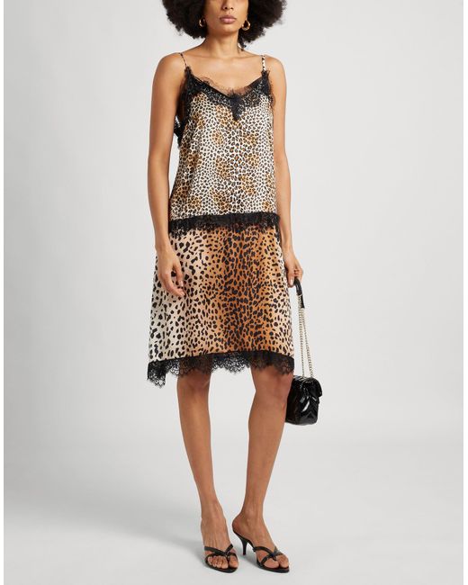 Liu Jo Brown Midi Dress