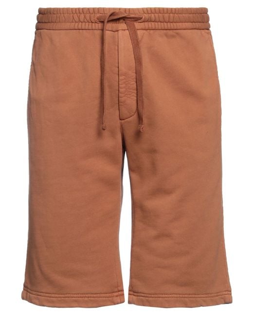 Circolo 1901 Brown Shorts & Bermuda Shorts for men