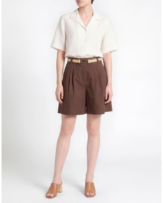 Twinset Brown Shorts & Bermuda Shorts