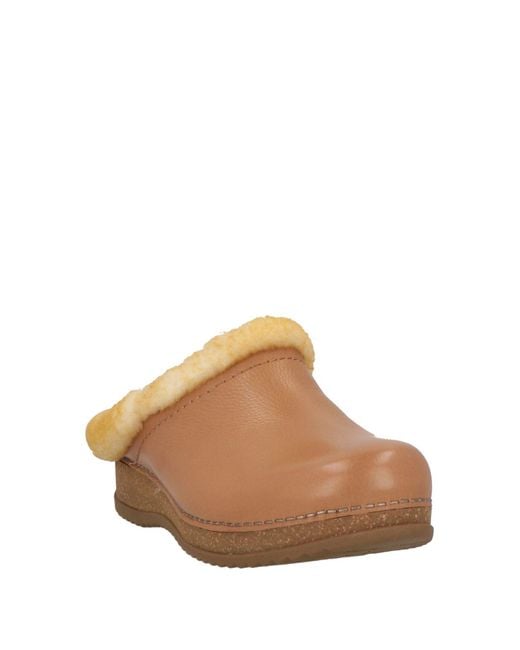 Dansko Brown Mules & Clogs