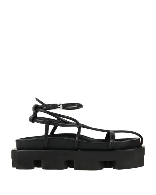 Jil Sander Black Sandals Ovine Leather