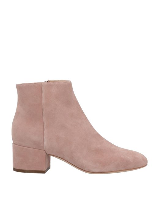 Sergio Rossi Brown Ankle Boots