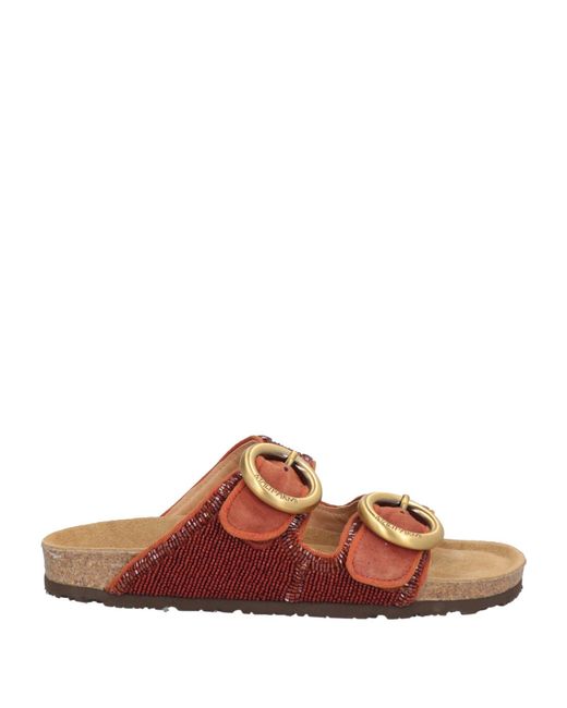 Maliparmi Brown Sandals