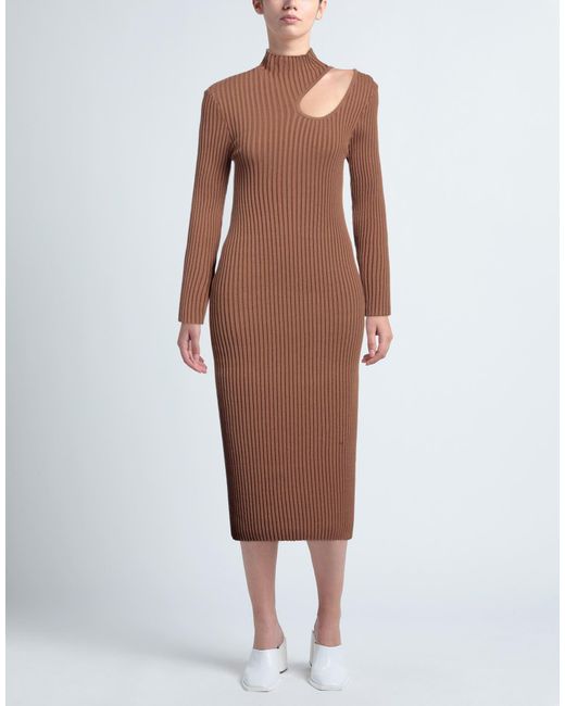 Anine Bing Brown Midi Dress