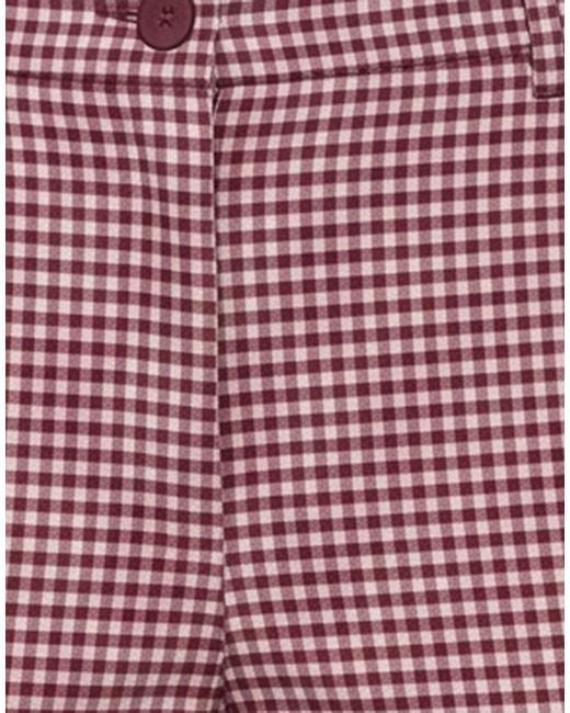 P.A.R.O.S.H. Purple Pants Wool, Elastane