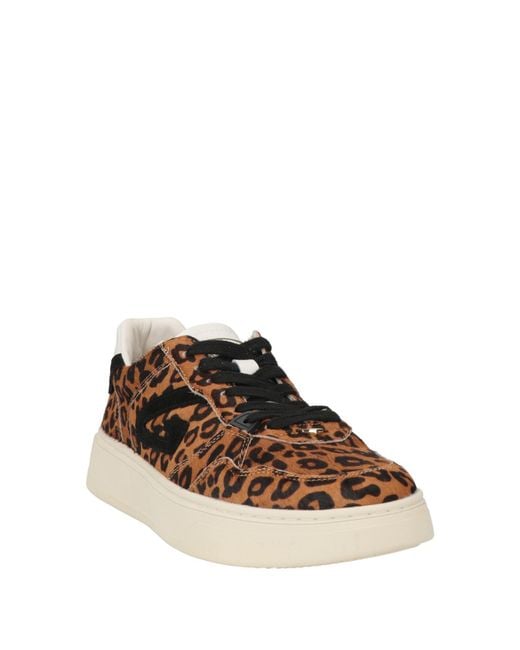 Alberto Guardiani Brown Trainers