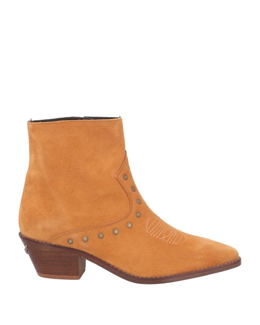Zadig & Voltaire Brown Ankle Boots