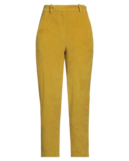 Circolo 1901 Yellow Pants Cotton, Polyester