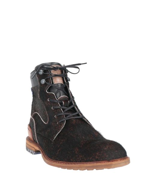 Floris Van Bommel Stiefelette in Brown für Herren