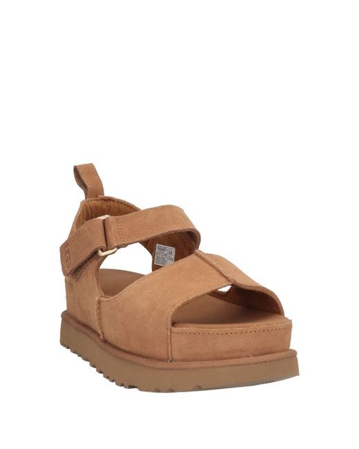 Ugg Brown Sandals