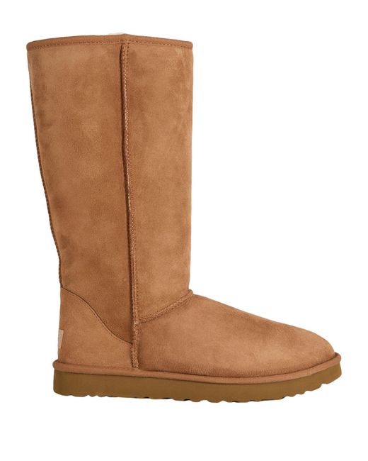 Ugg Brown Boot