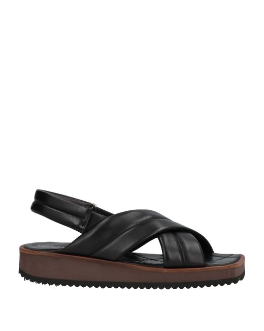 Pas De Rouge Sandals in Black | Lyst