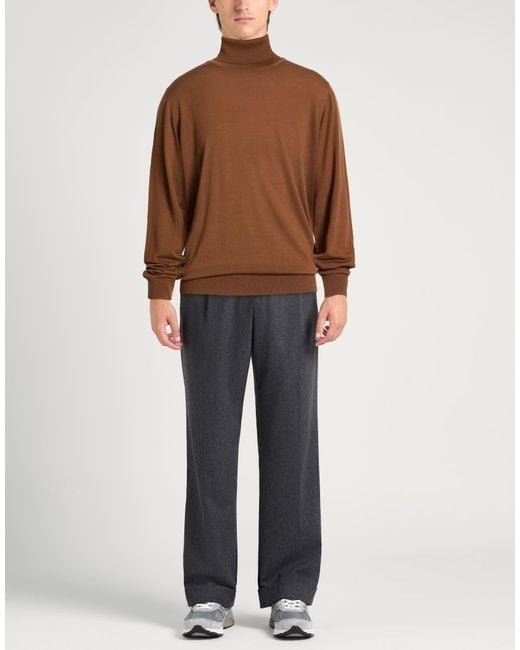 Alpha Studio Brown Turtlenecks for men