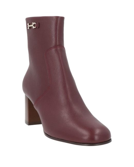 Ferragamo Purple Ankle Boots