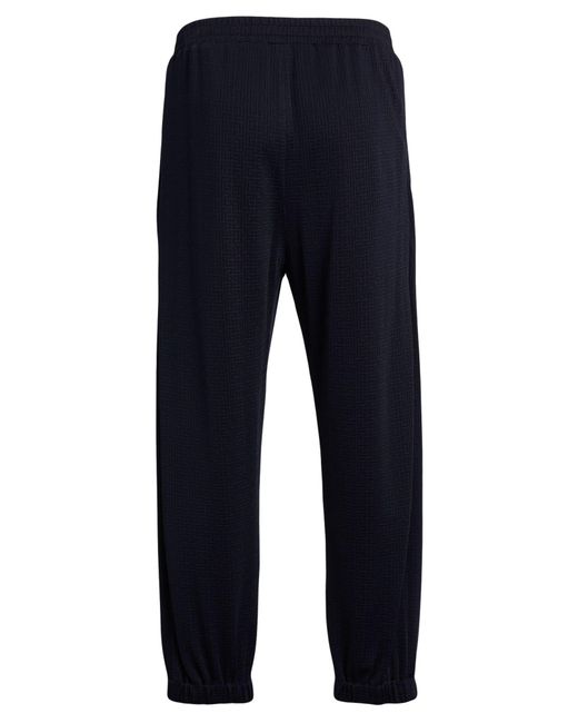 Balmain Blue Trouser for men