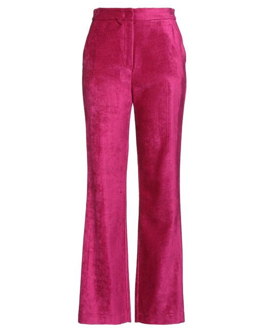 Kaos Pink Fuchsia Pants Cotton, Viscose