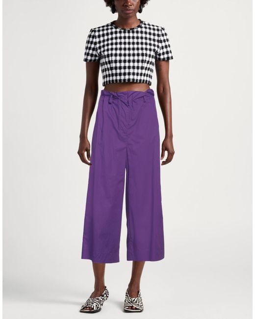 Pinko Purple Pants