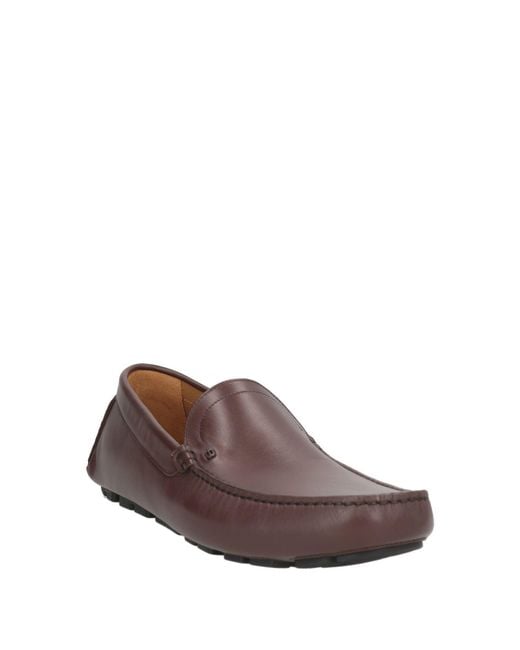 Baldinini Brown Loafers Calfskin for men