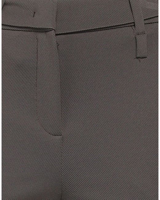 Seductive Gray Pants