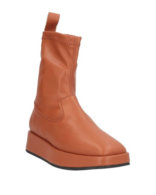 NCUB Brown Ankle Boots