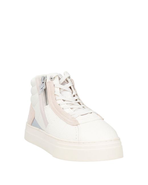 Colmar Natural Trainers