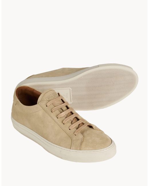 Polo Ralph Lauren White Trainers for men