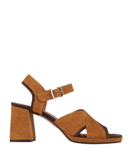 Chie Mihara Brown Sandals