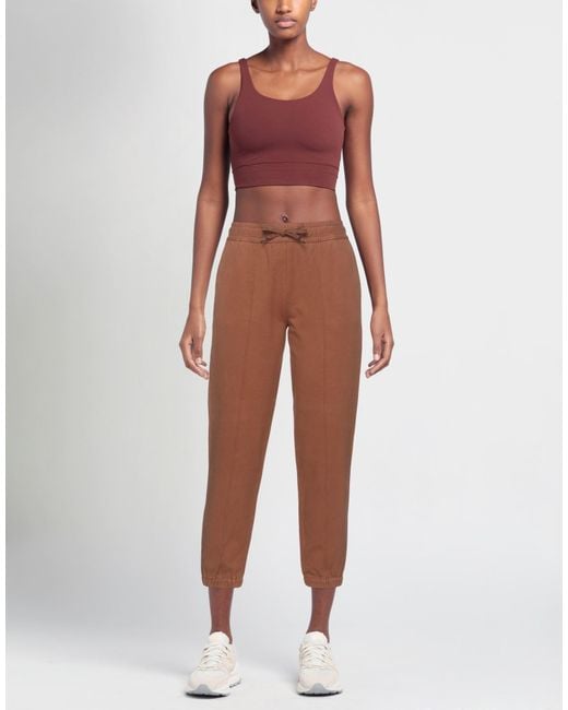 Circolo 1901 Brown Trouser