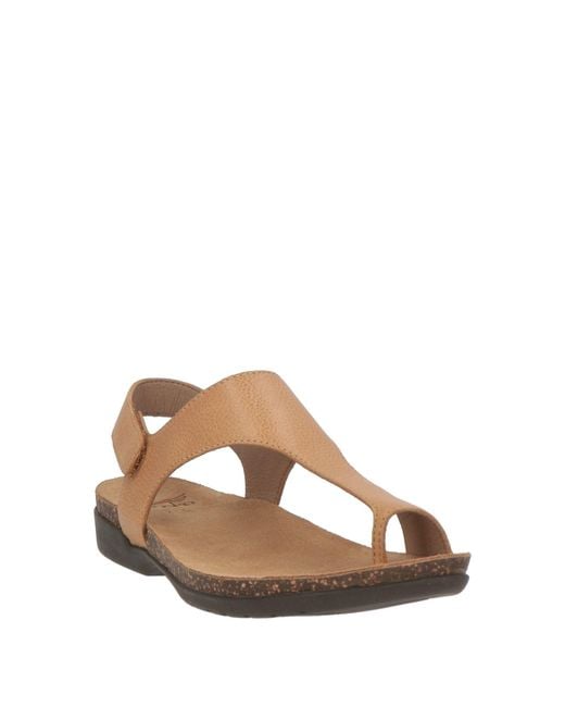 Dansko Brown Thong Sandal Leather