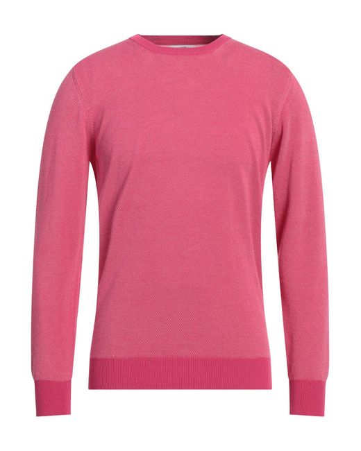 Jurta Pink Sweater for men
