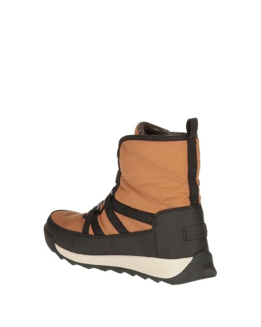 Sorel Brown Ankle Boots