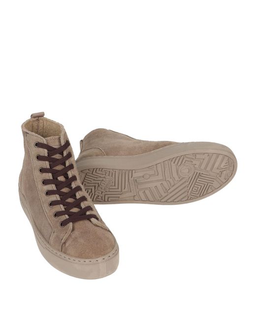 Natural World Brown Trainers