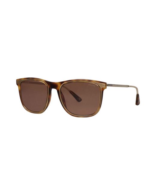 Police Brown Sunglasses for men