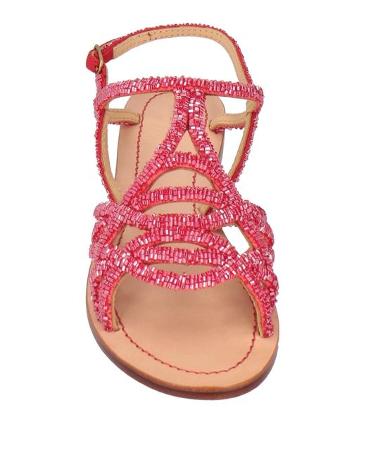 Maliparmi Pink Sandals