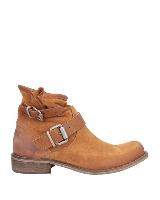 Botines de caña alta Divine Follie de color Brown