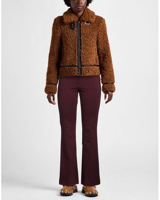 Maliparmi Purple Trouser
