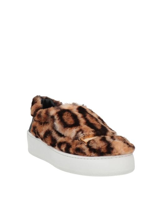 Sergio Rossi Brown Trainers