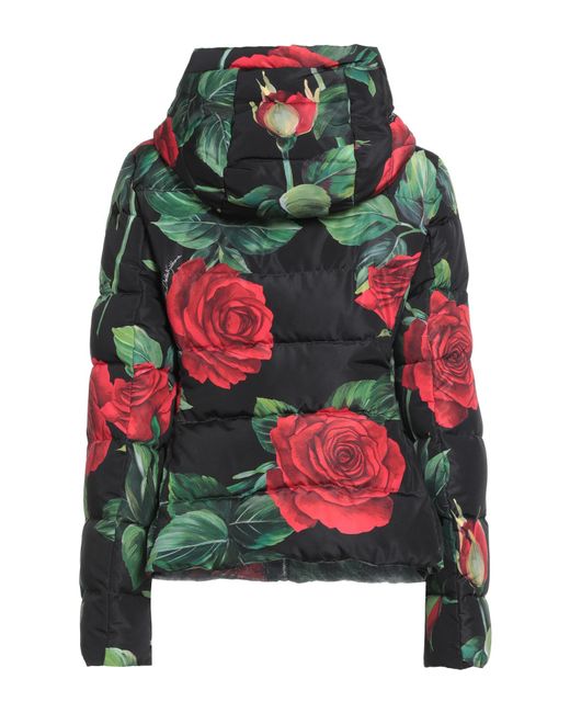 Dolce & Gabbana Green Puffer