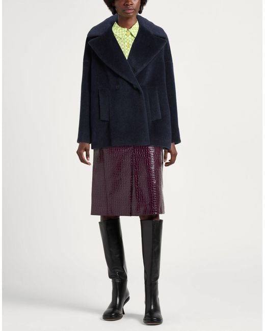 Cinzia Rocca Blue Coat