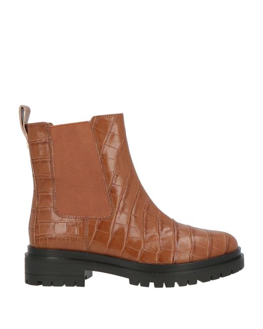 Botines De Caña Alta Ralph Lauren de color Brown