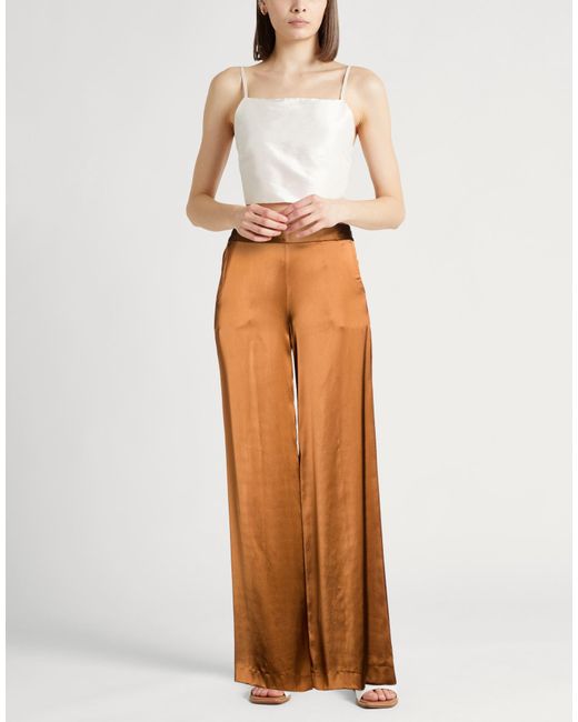 PT Torino Brown Pants