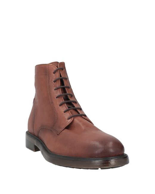 Geox Stiefelette in Brown für Herren