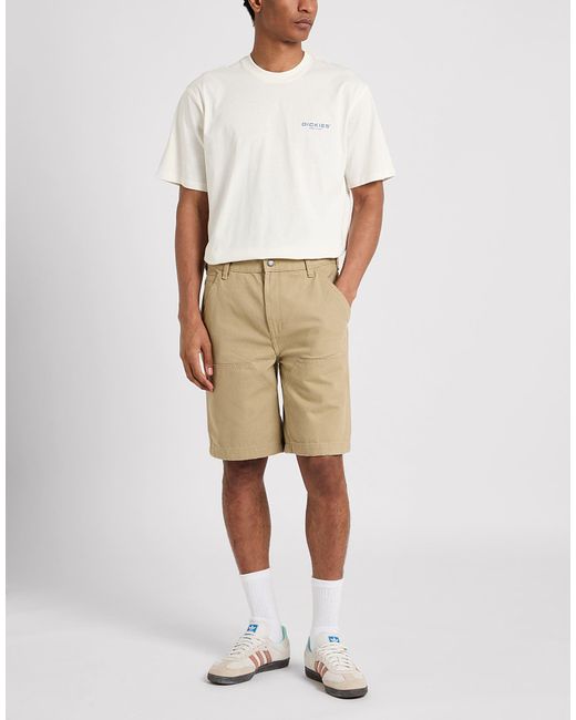 Dickies Natural Shorts & Bermuda Shorts for men